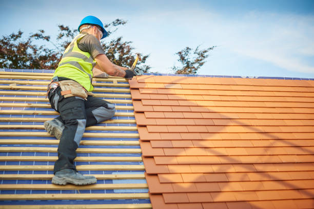 Best Roof Moss and Algae Removal  in Sebring, OH